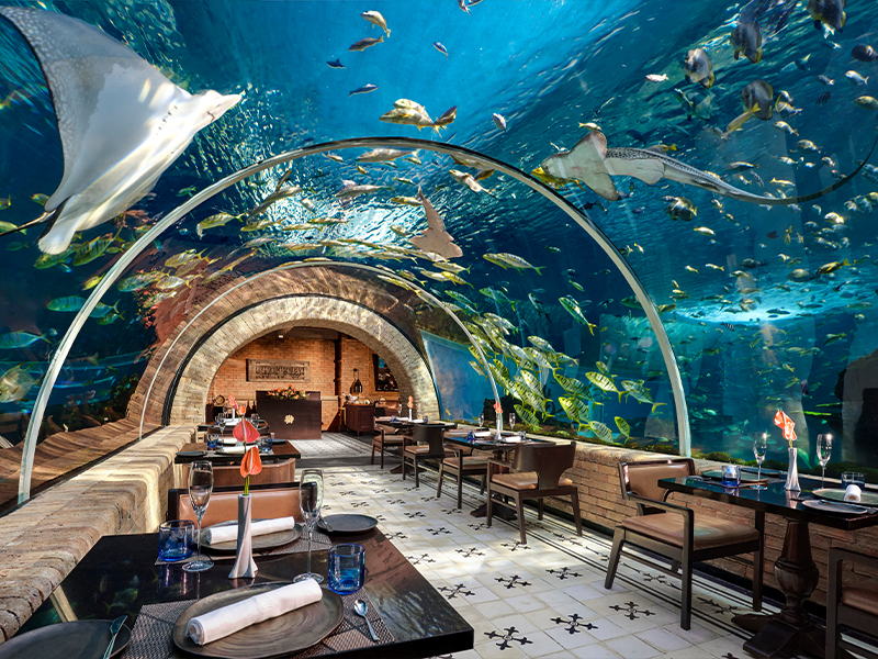 Koral Restaurant Tunnel Dining Space